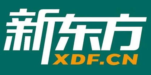 新东方文旅布局西南 重庆新公司专注广告设计